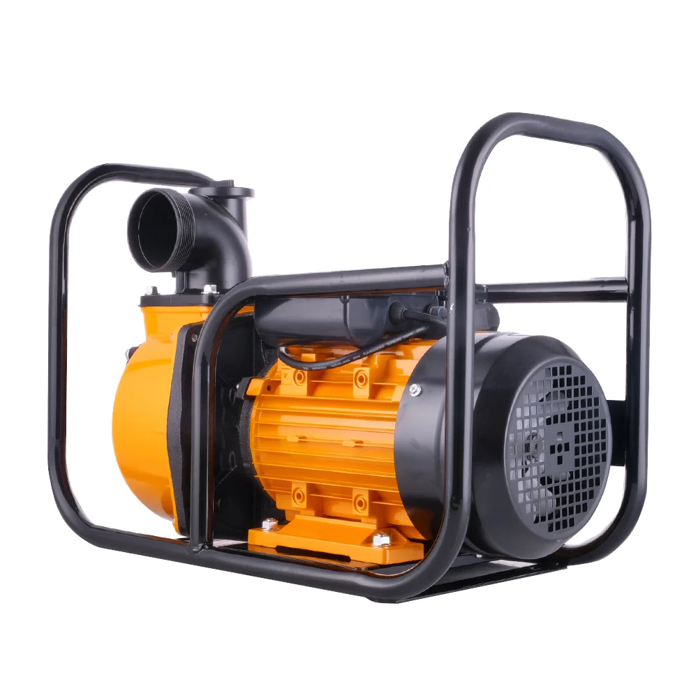 

Portable 3KW Centrifugal Water Pump 3 Inch High Pressure Electric Motor Custom OEM Design