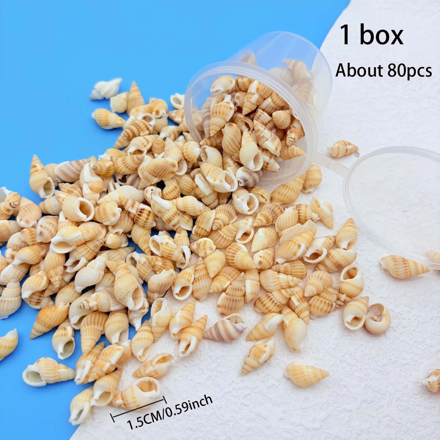 1Box Ocean Shell Conch Spiral Seashells for Beach Theme Party, Candle Making, Wedding Decor,DIY Crafts,Vase Filler