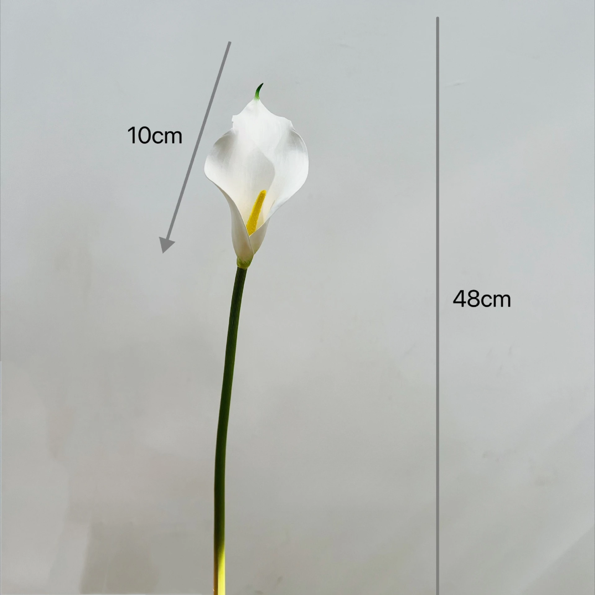 18.9インチ シングルステム 人工カラーリリー 結婚式 ホ - Home Decor Tulip のレビューと価格