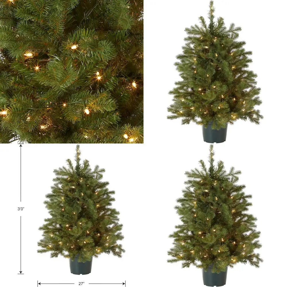 

3-футовая мини-рождественская елка из ели Hampton с предварительной подсветкой, 100 прозрачными огнями и 579 советов в горшке для зеленого выращивания