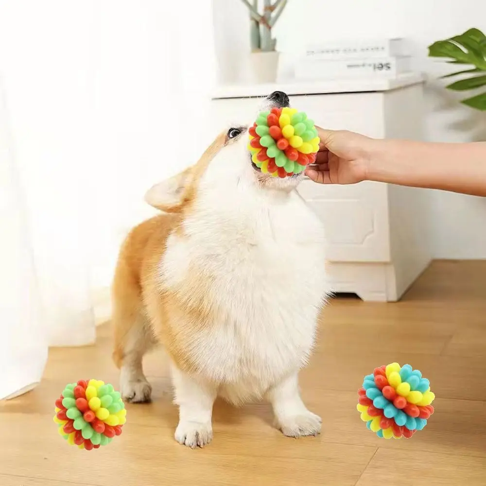 

Multifunctional Bite Resistant Dog Elastic Ball High Elastic Colorful Dog Tooth Cleaning TPR Interactive Dog Relieve Boredom