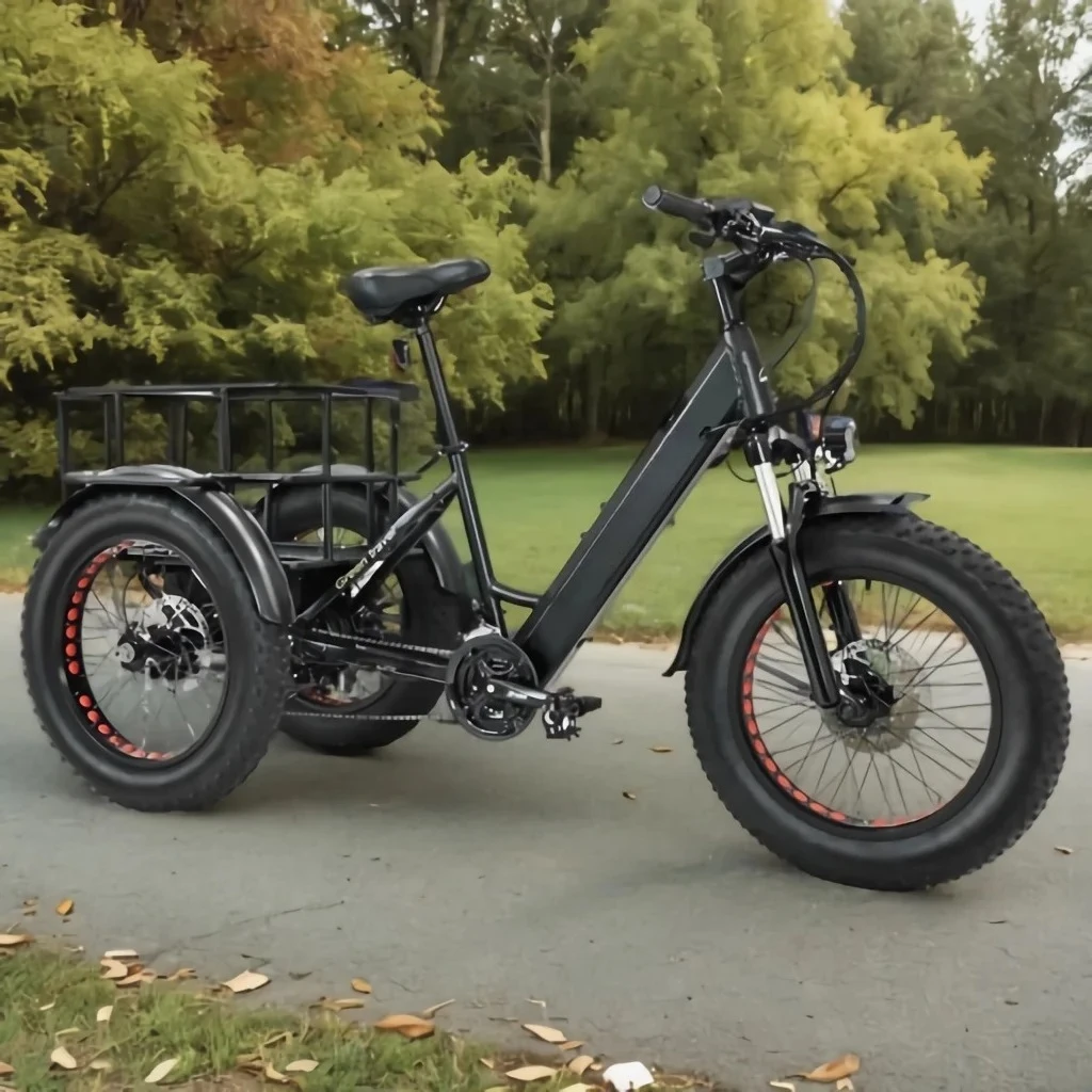 Tricycle 7 Speed Electric Bike 3 Wheels Ebike 48V Voltage 500W  Motor