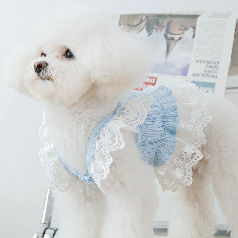Cute Lace Dog Dress for Small Dogs, Chihuahua, Puppy Vest, Pet Skirt, French Bulldog Accessories, Clothing for Cat
