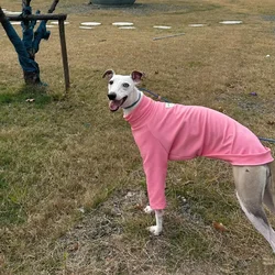 Janpanese Style Spring Pink T-Shirt for Italian Greyhound Non-stick to Grass Long Sleeves Coat for Whippet Loungewear for Dogs