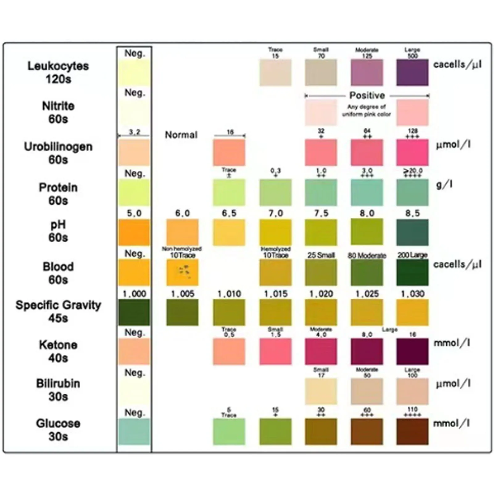 Urine Test Strips Glucose Test Strips 2 Years Guarantee 12 Tests User Friendly for Laboratory