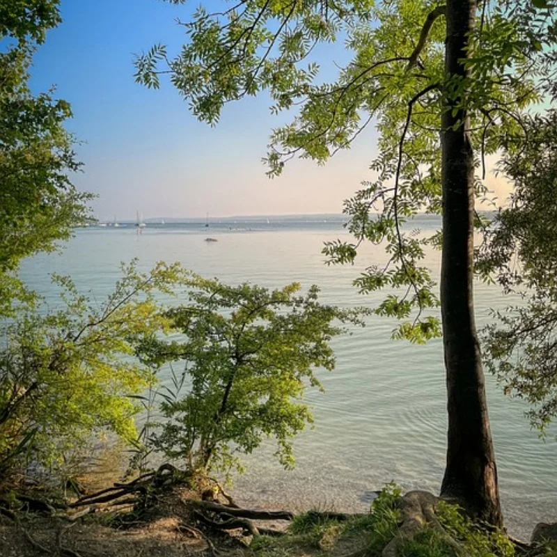 

Комплект шестерен главного дифференциала 15T/42T для RC Arrma 1/7Infraction Limitless1/8Typhon Kraton Notorious Outcast Talion