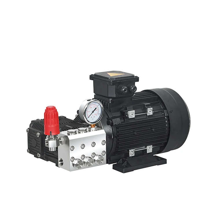 

Botuo 16 L/min three-cylinder plunger high-pressure pump with motor for seawater desalination systems
