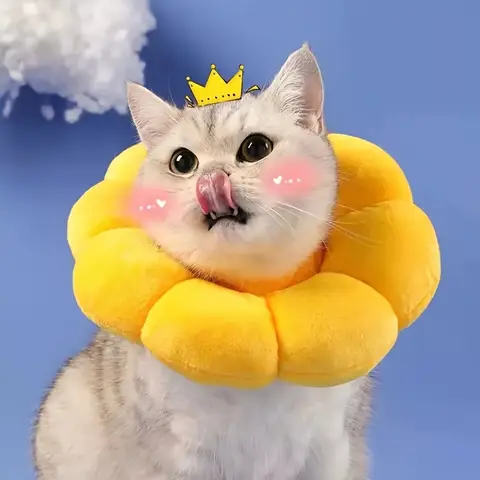 Adjustable Cat Recovery Collar Cute Solar Flower Neck Cone After Surgery