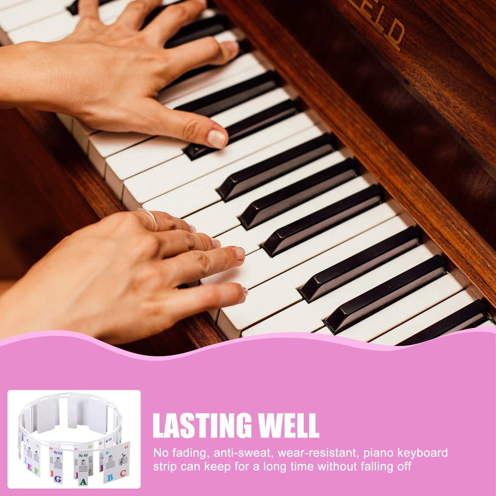 

Piano Key Strips Non-Stick Durable Smooth Clear Printing Removable Labels For Beginners Learning Piano Keyboard