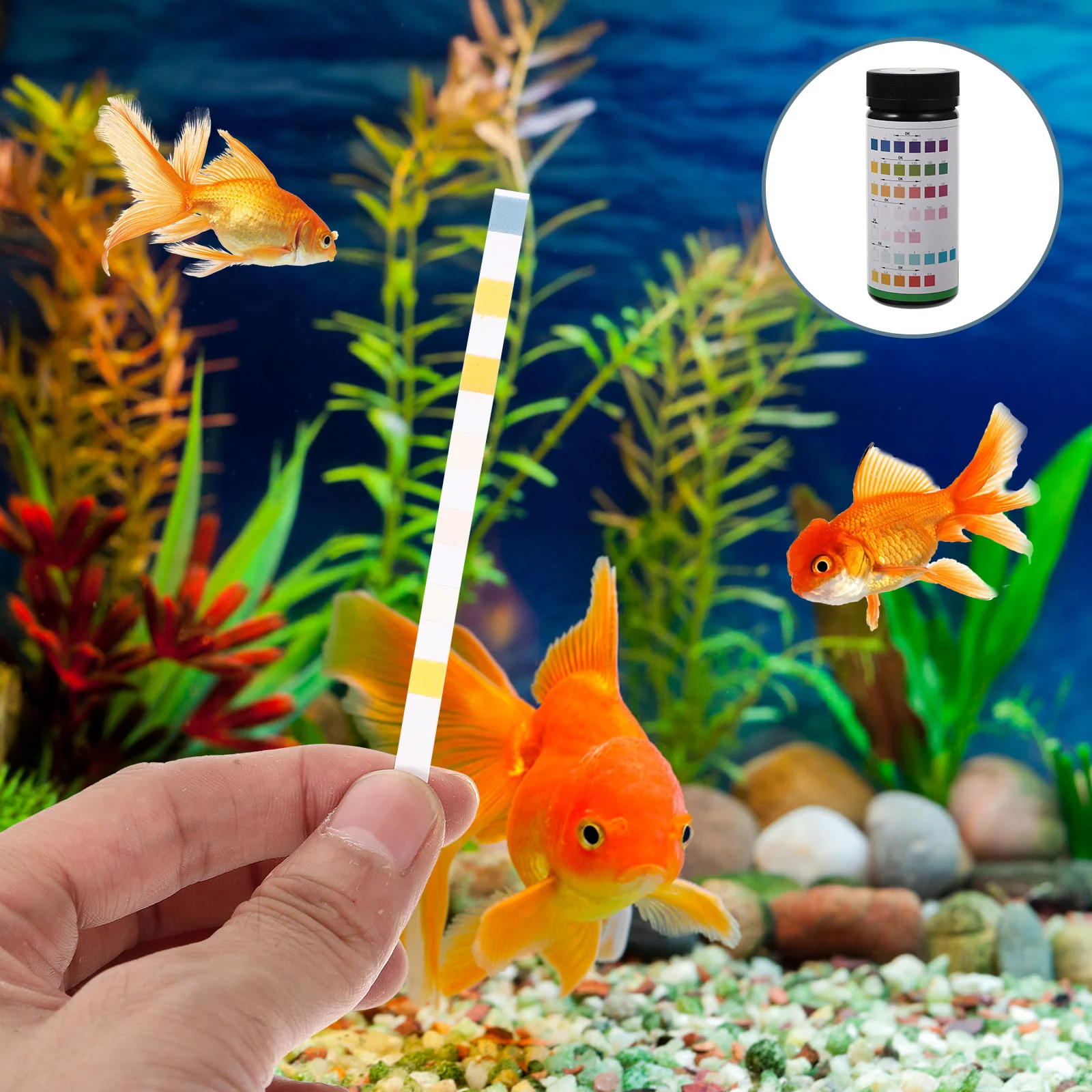 

Fish Tank Test Paper Strips Aquarium Supplies Freshwater Saltwater Quality Testing Supply Kit