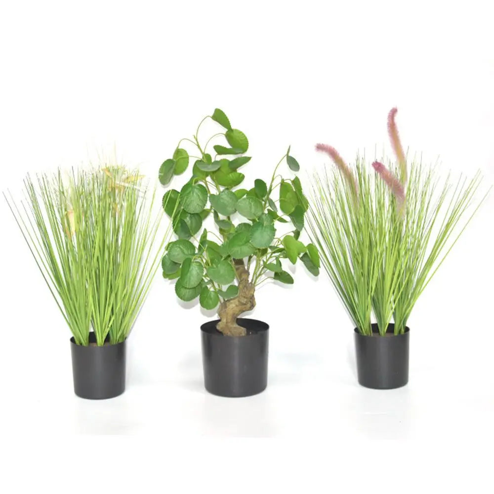 وعاء نباتات أسود موجزة وعاء نباتات صندوق عصاري أواني الزهور