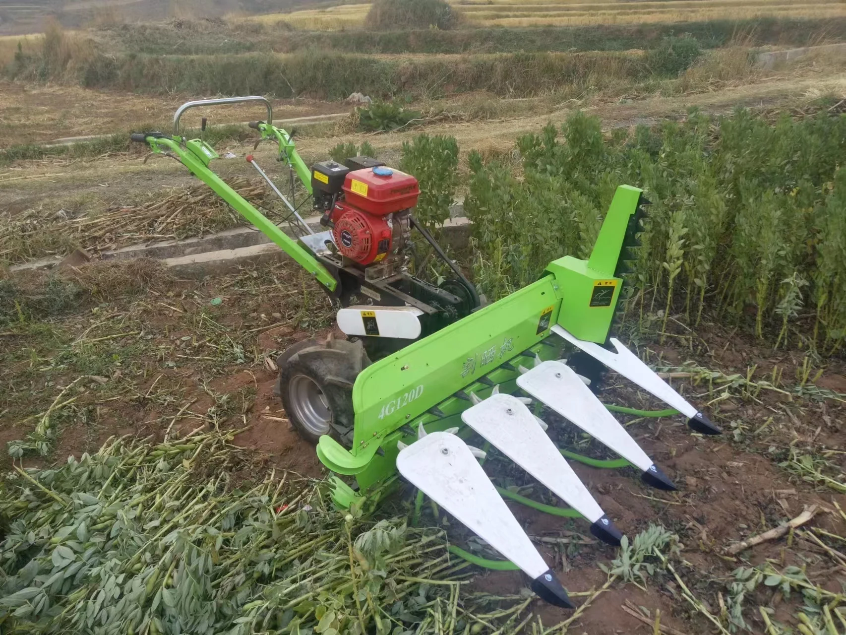 Grass Herbage Harvester Powered By Gasoline Engine