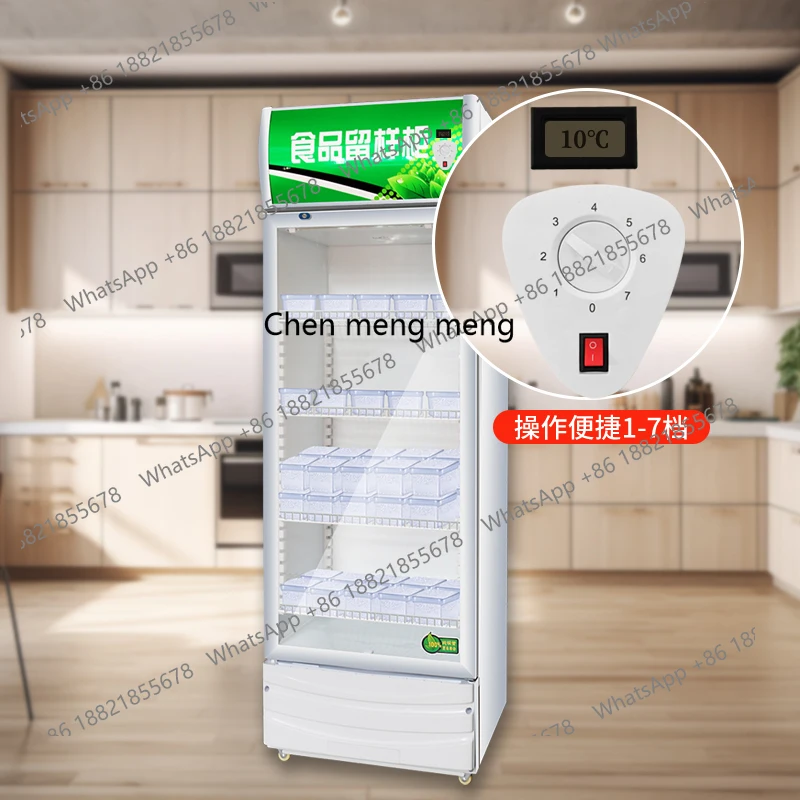 Kantine voedsel monsterkast dubbele vergrendeling temperatuur keuken koelkast groente verse vriezer drank