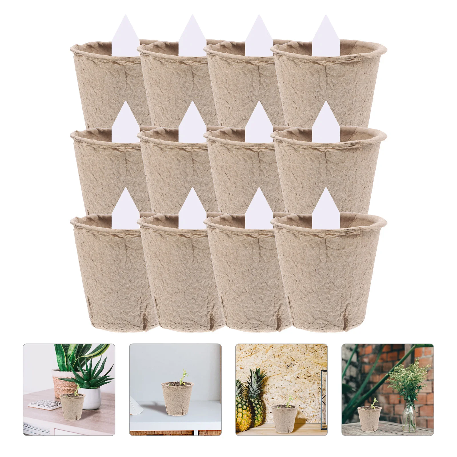

50 Sets Nursery Plant Pots Peat Starter Trays Biodegradable PP Material Gardening Vegetable Flower Planter Small Crop Growing