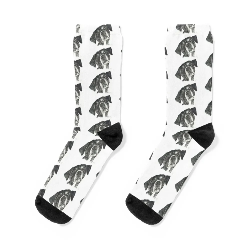 

Street dog from Greece, called Dinos Socks floral professional running aesthetic funny gift Luxury Woman Socks Men's