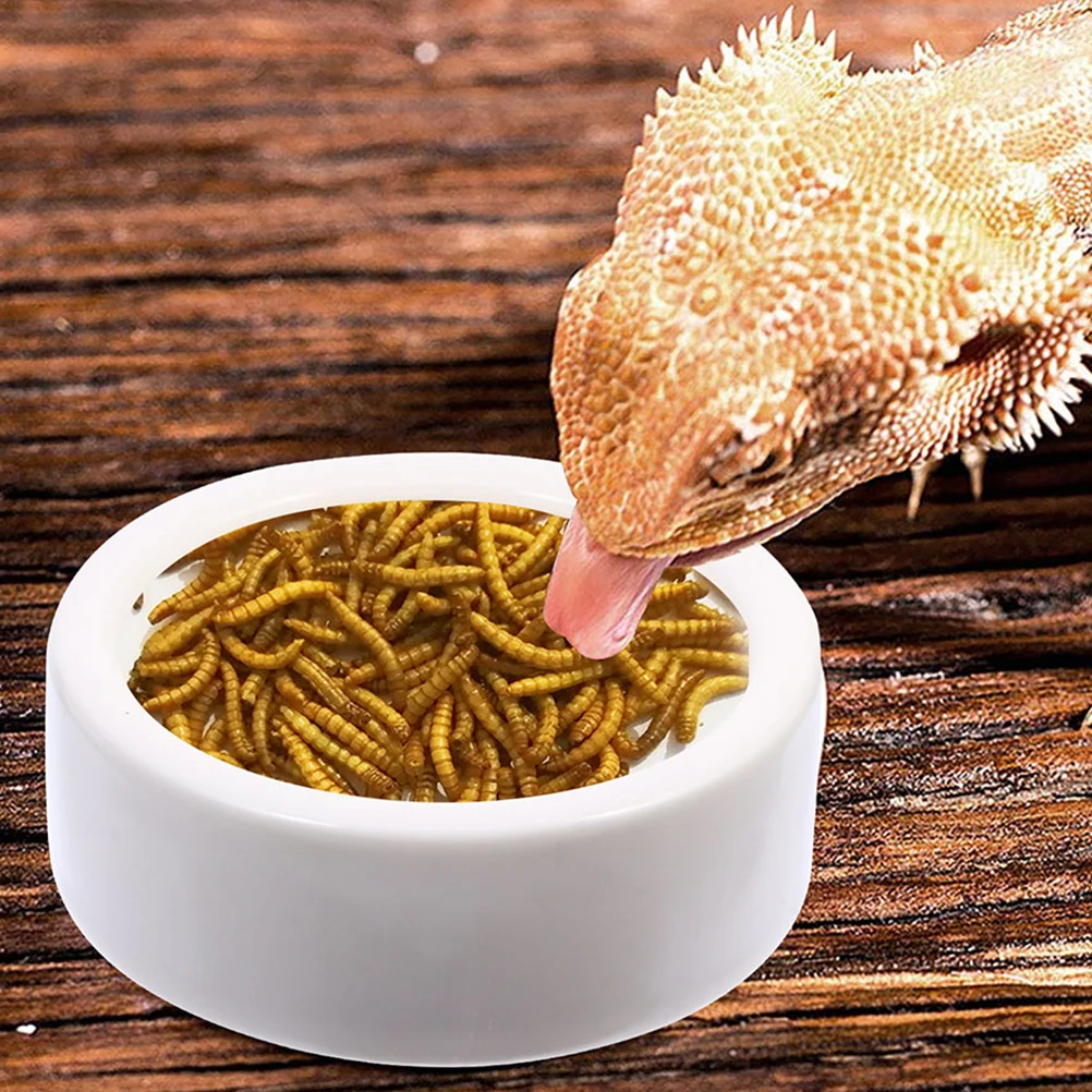 

2Pcs Reptile Feeding Bowls Ceramic Food Water Dish Durable Smooth Surface Lizard Turtle Tortoise Supplies Reptile Feeding Dish