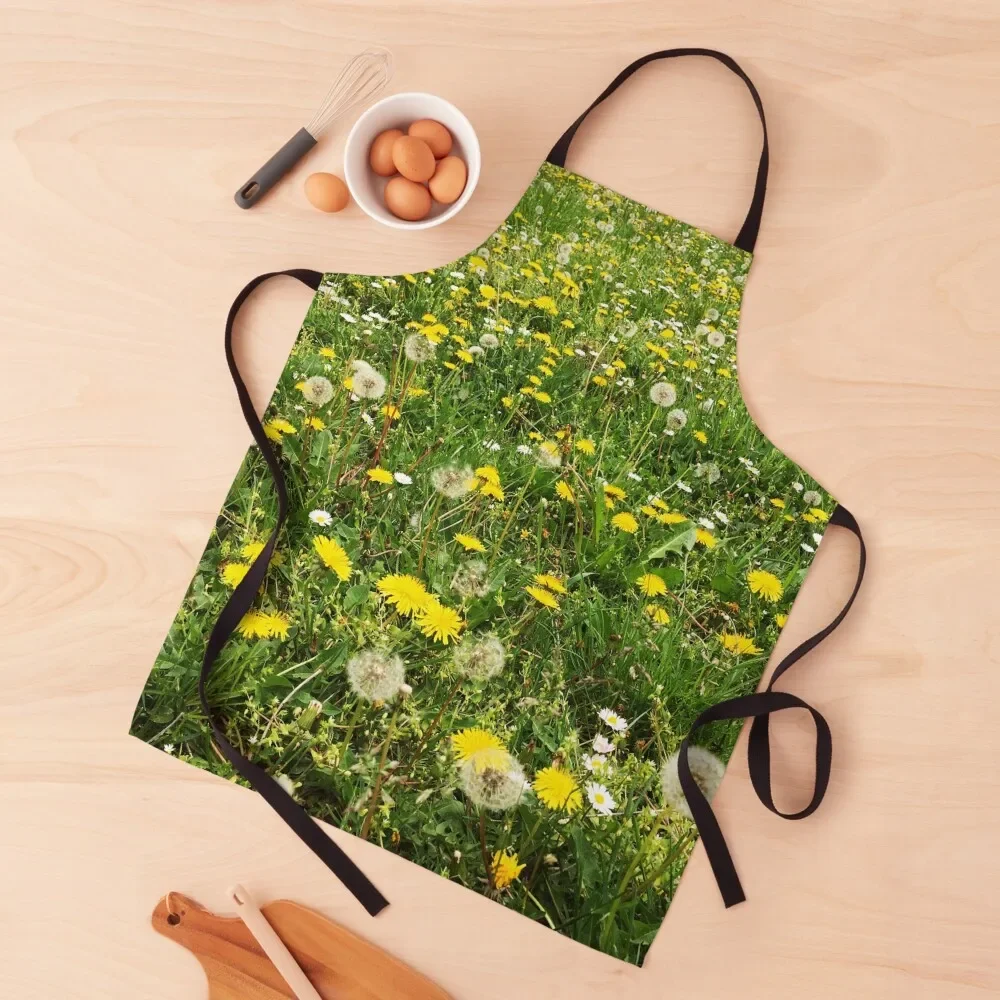 

Dandelions Apron Teacher for home useful pieces Bib For Kitchen women's kitchens Apron