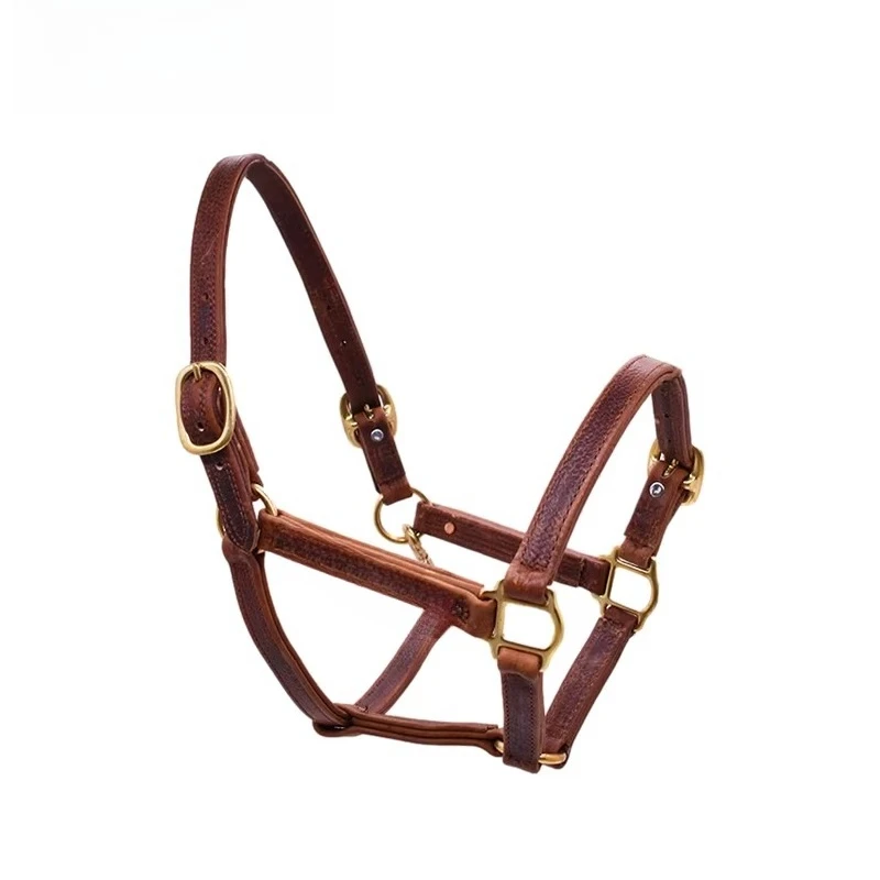 adjustable-cowhide-leather-bridle-and-lead-rope-set-equestrian-horse-faucet-harness-for-training-and-riding