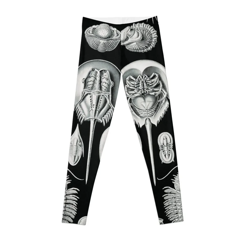 

Crustaceans vintage illustration Leggings sports for gym Women sportwear Womens Leggings