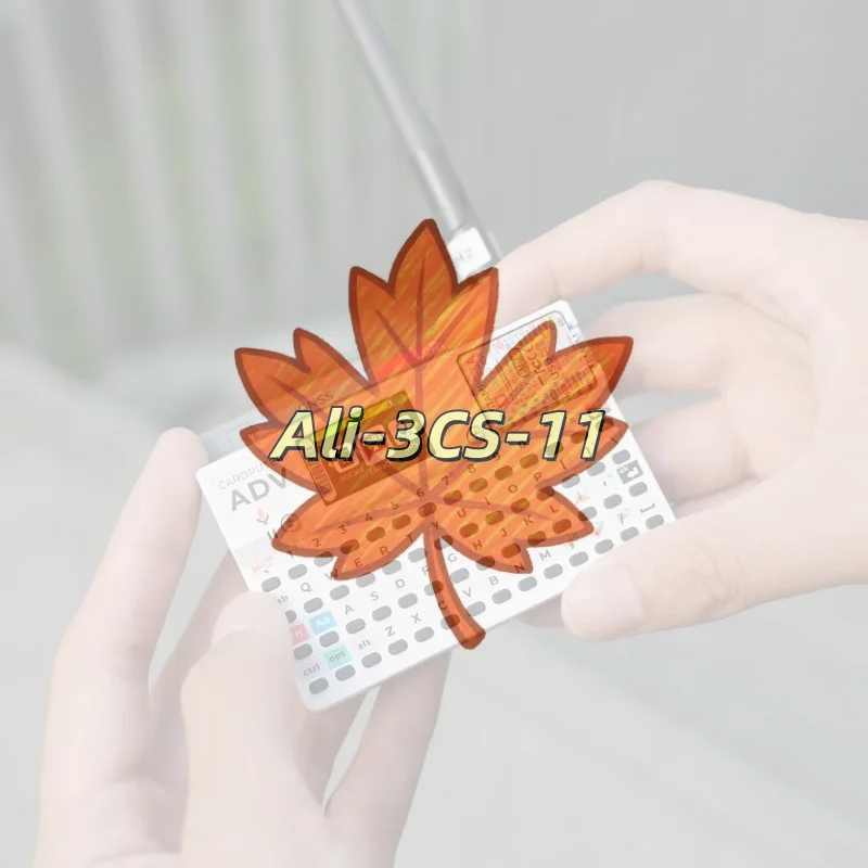 

M5Stack Cardputer Adv - ESP32-S3 Pocket Computer with 1.14" Screen & 56 Keys, DIY Dev Board