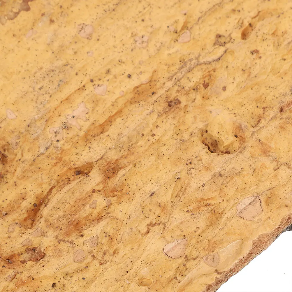 

2Pcs Natural Cork Bark Decoration for Reptile Tank Terrarium Decor Accessories Fish Tank reptile bark climbing decor pet