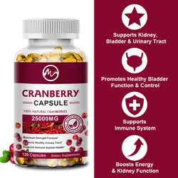 Minch Organic Cranberry Extract Supports Urinary System Health Bladder Health Potent Antioxidant Rich Vita C Capsule Supplement