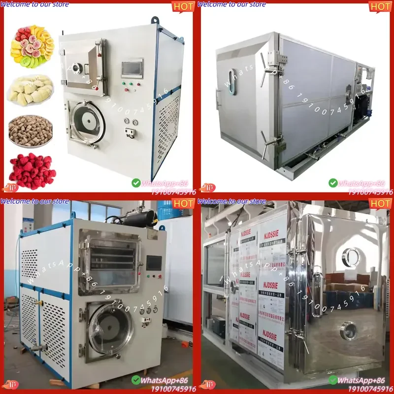 2026 Stainless Steel Instant Coffee Lyophilizer Full Automatic Vacuum Dryer for Making Milk Powder