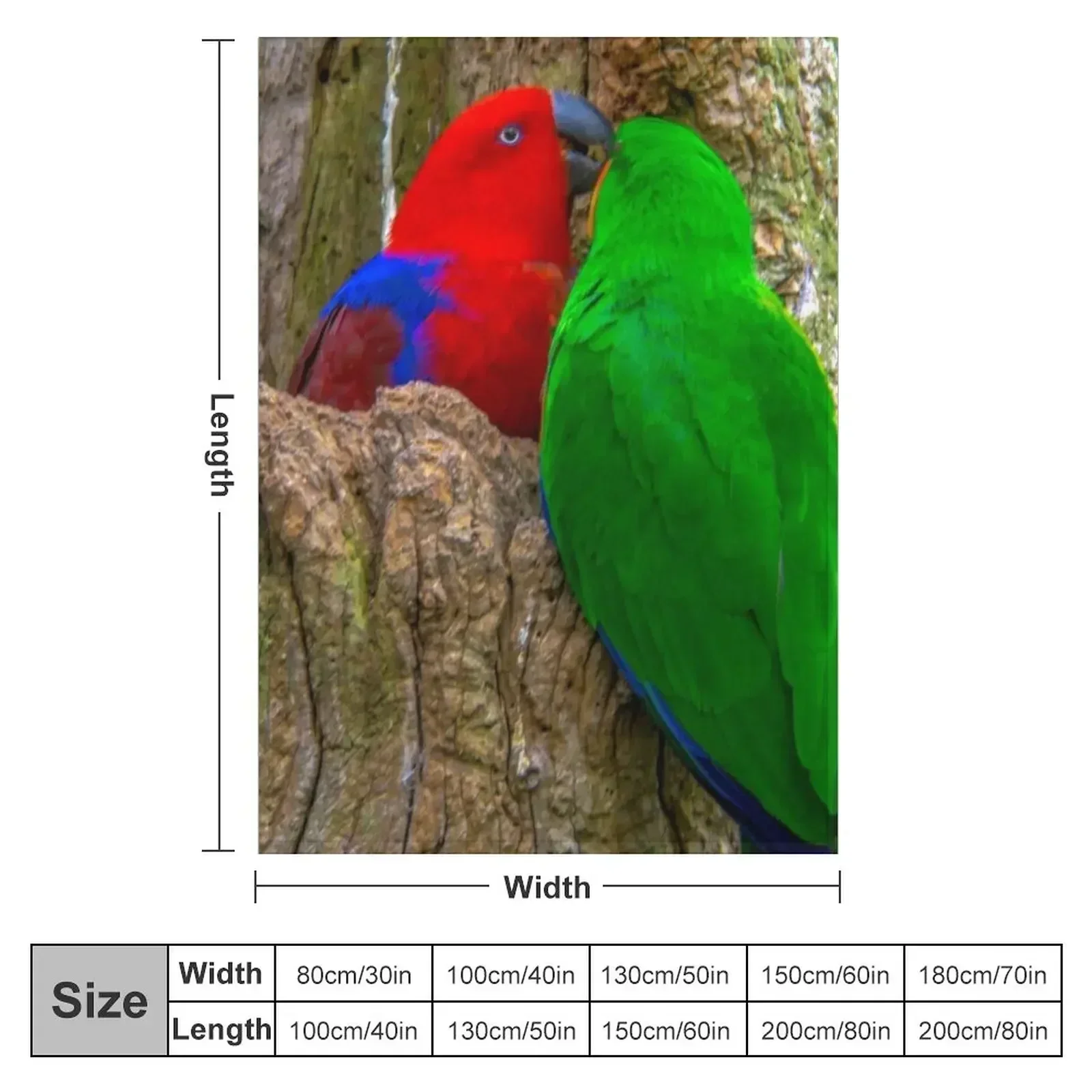 Eclectus Parrots Throw Blanket couch cozy soft plush fuzzy picnic outdoor blanket