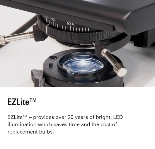 DM750 Original Neues Klinikmikroskop Binokulares Fluoreszenzumfangreiches Mikroskop Preis mit LED-Beleuchtung für Lebenswissenschaften