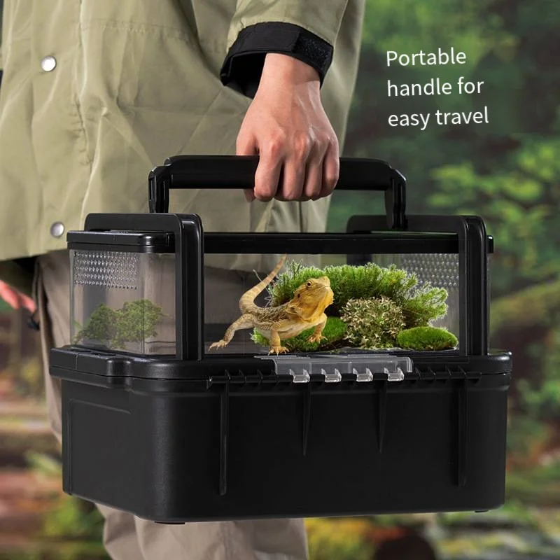 Bulk Wholesale Excellent Ventilation Easy Cleaning Reptile Enclosure Insect Reptile Habitat Lizard Scorpion Pet Observation Tank