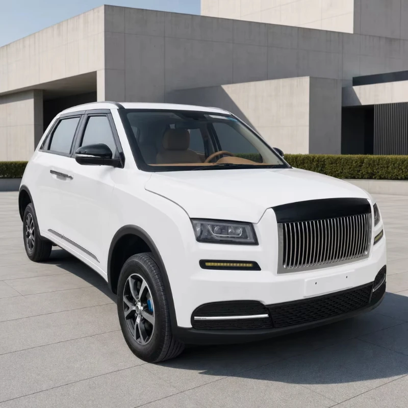 Luxury intelligent electric adult new energy vehicle, long-range electric commuter vehicle
