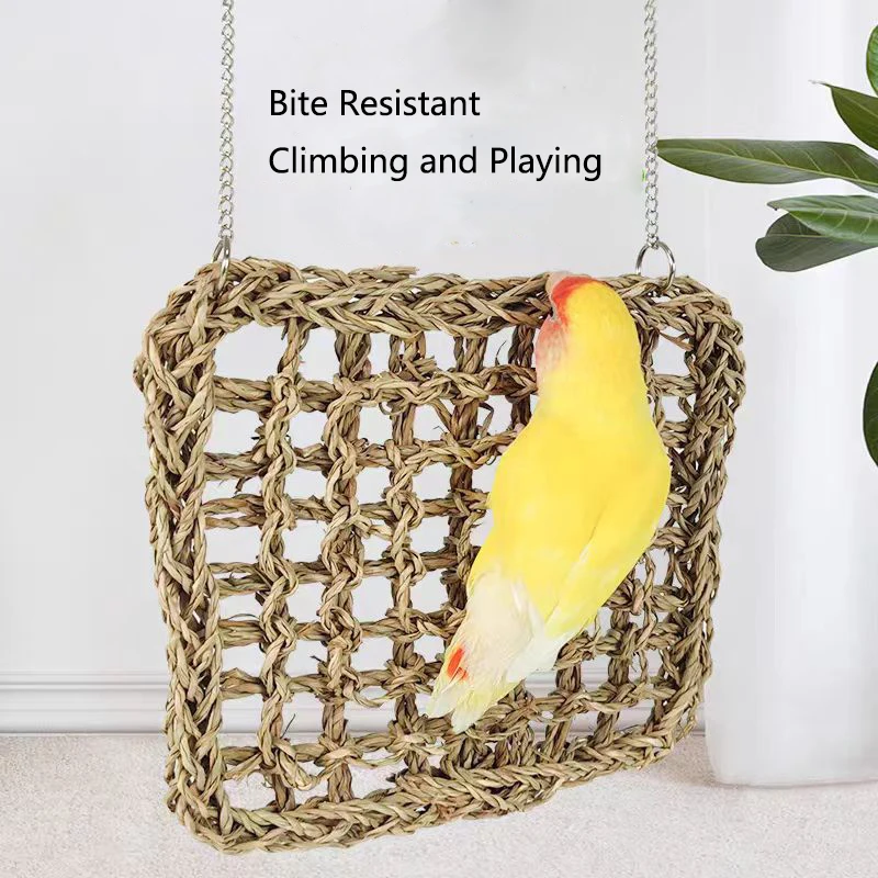 Thumbnail 4 - #5 Bird Cage Ladders Comparison Guide