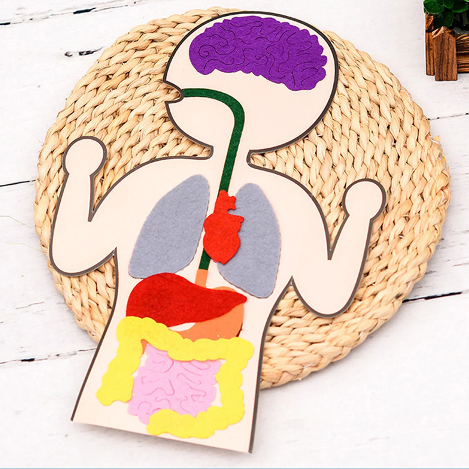 Educational Human Organs Felt DIY Craft Kit for Science Projects Kids Learning Toy Non-Woven Fabric Biology Tool