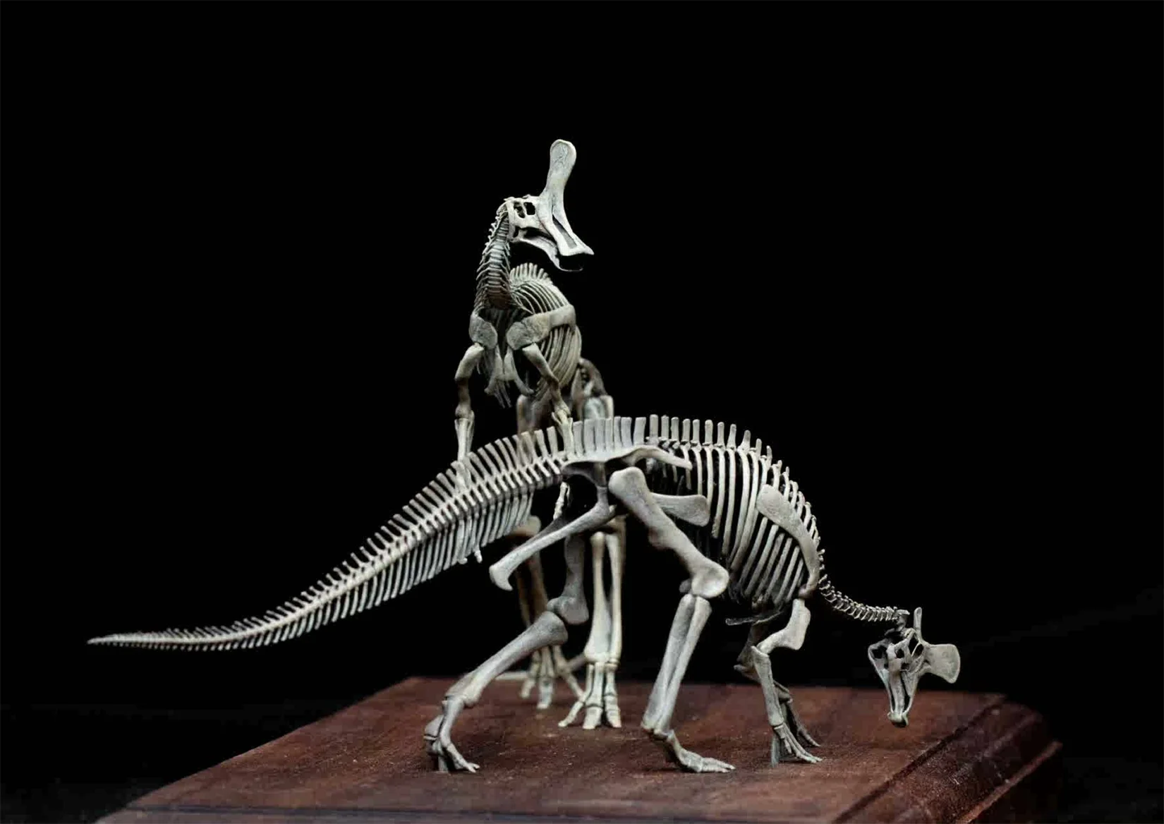 VWUVWU 1/20 Tsintaosaurus Spinorhinus VS Lambeosaurus Skeleton Model Dinosaur Animal Collection Scene Desk Home Decor Gift Toy