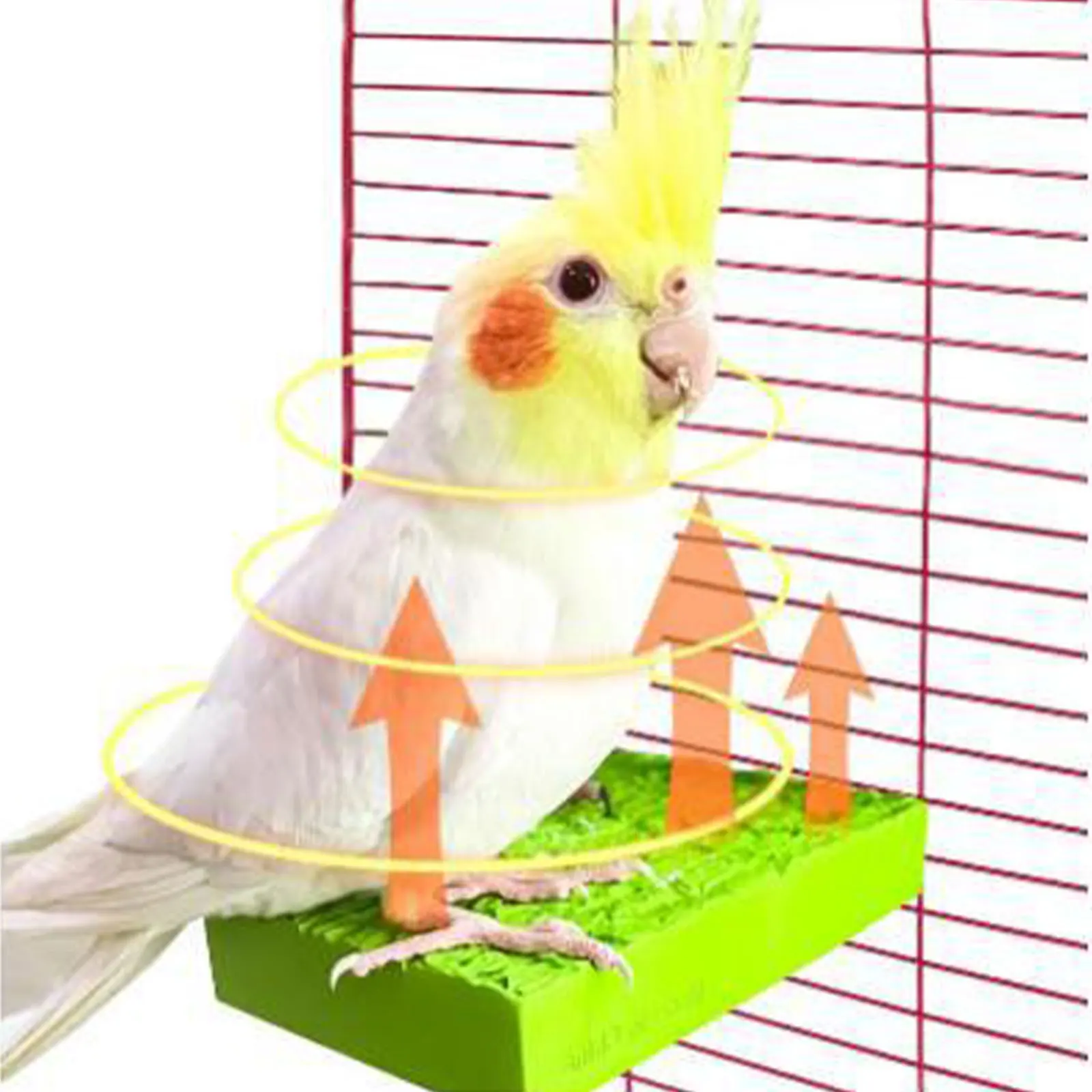 Bird Warmer Bird Perch Play Stand Winter Parrot Perches Parrot Stand Macaw Resin 5W Cockatoo 240V Activity Toy Bird Cage Heater