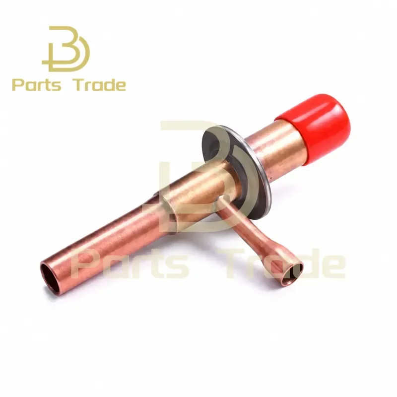 1PCS Fluorine Discharge Bypass Valve for Hot Air Expansion Refrigeration Energy Regulating Valve CGX-0810152030