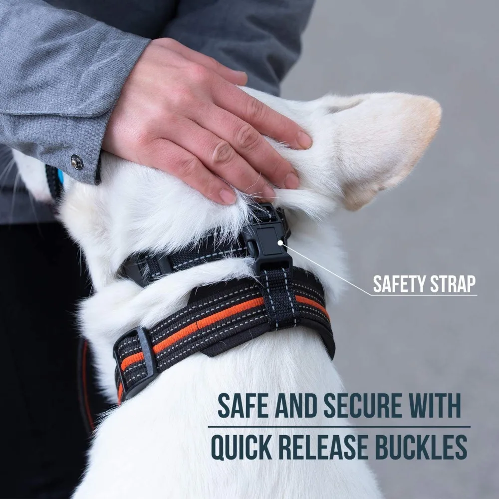 Thumbnail 3 - #19 Top Rated Dog Muzzles to Buy in 2026
