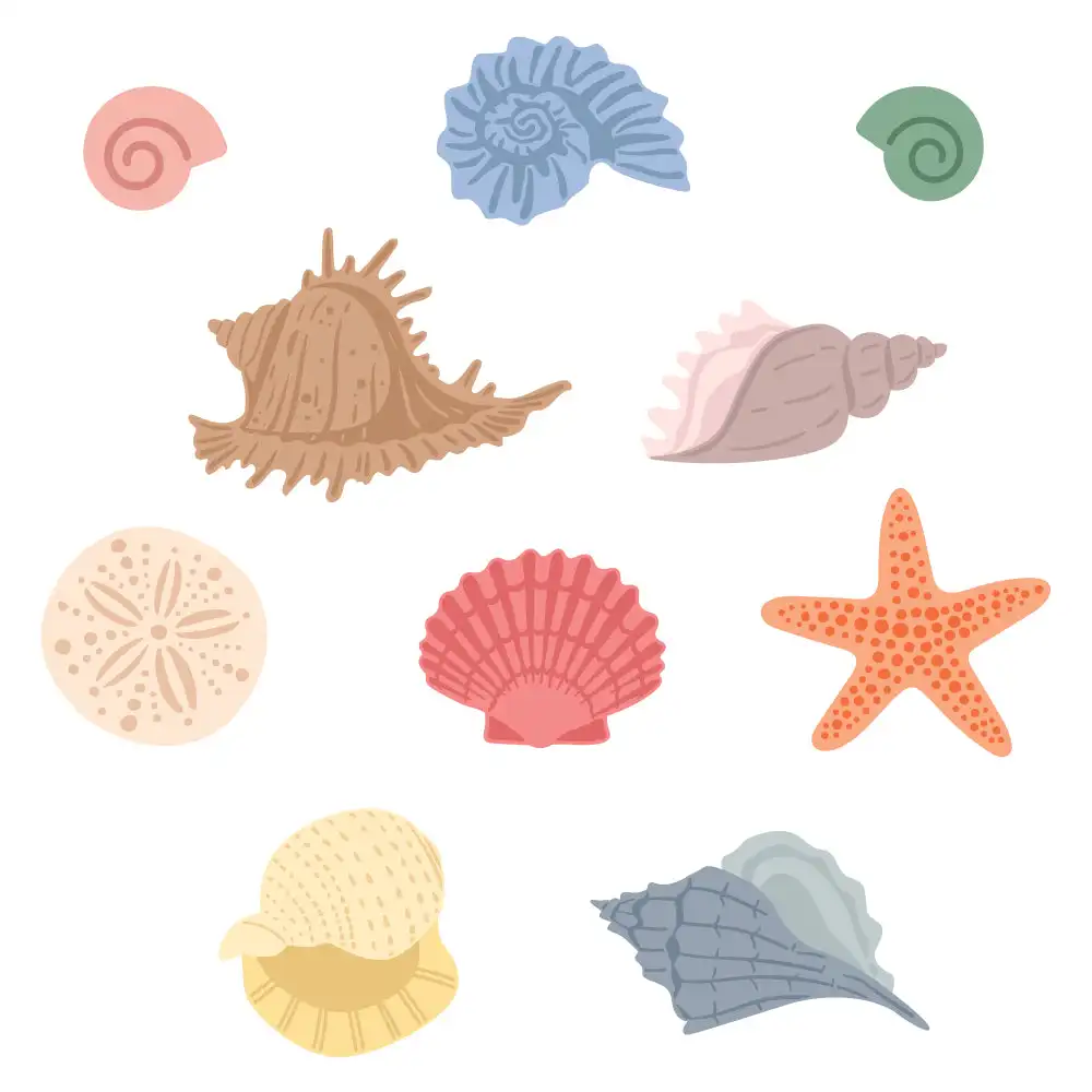 Beach Small Seashells Metal Cutting Dies for DIY Decorating Scrapbook Paper Card Album Embossing Craft Template 2024 New Summer