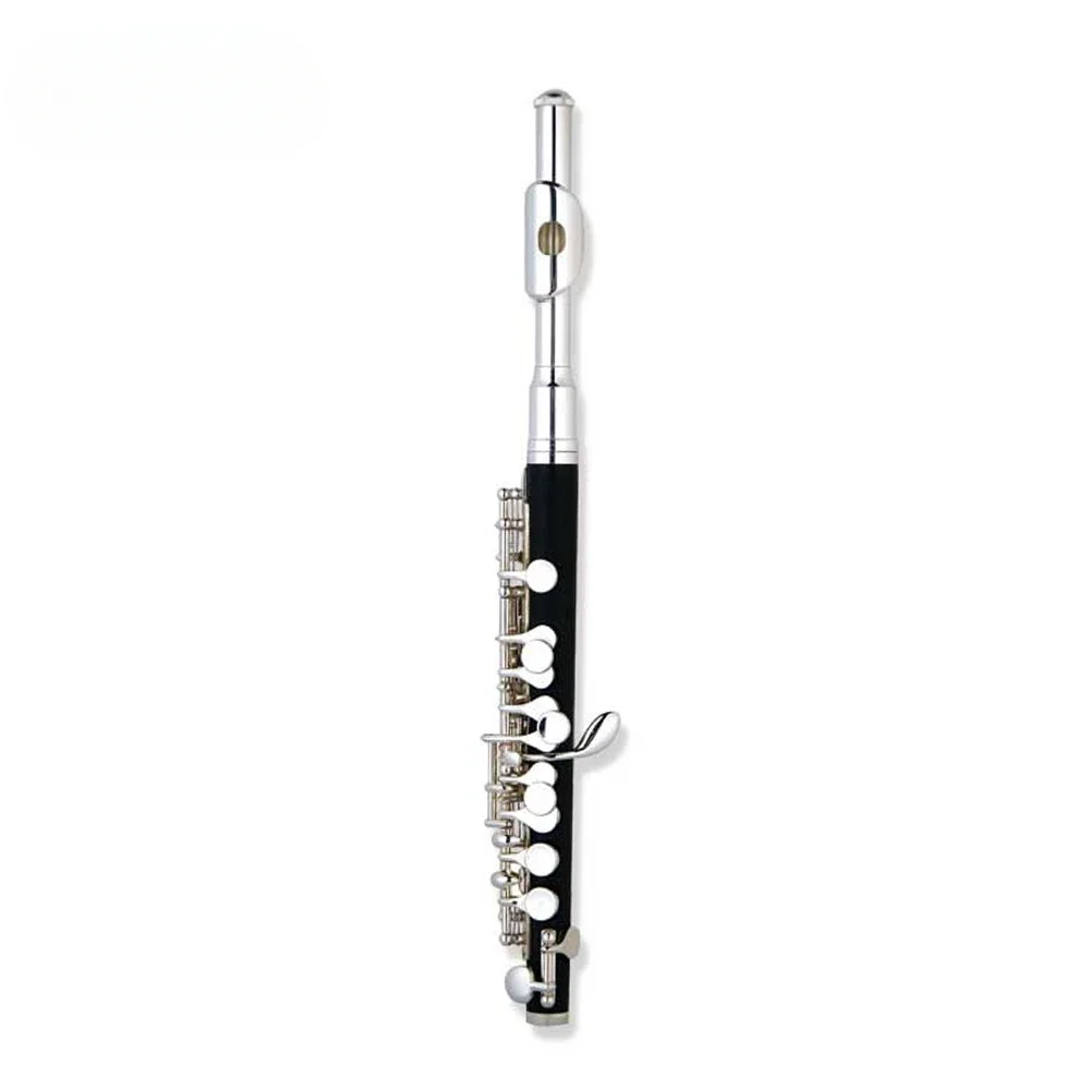 

AileenMusic High Grade ABS Body Solid Silver Piccolo (PC-H6400S)