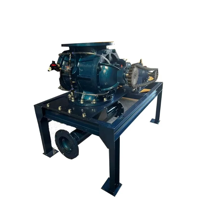 

Hygienic Rotary Feeder 15m³/h Energy Saving for Brewery Industry BV Certified