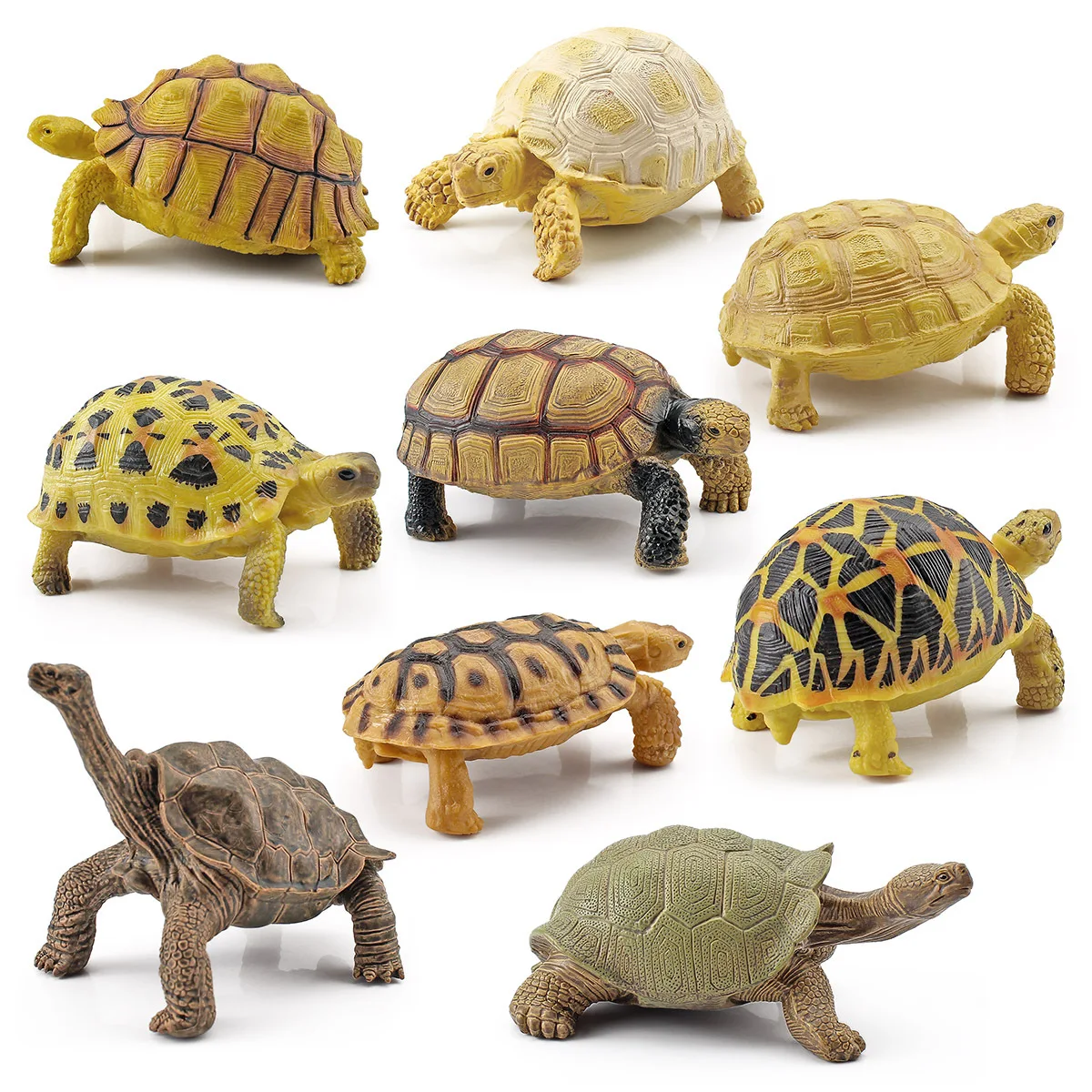 Miniature Turtle Tortoise and Starfish Figurines for Kids Science Education Realistic Tortoise Figurine Toy Science Models Decor