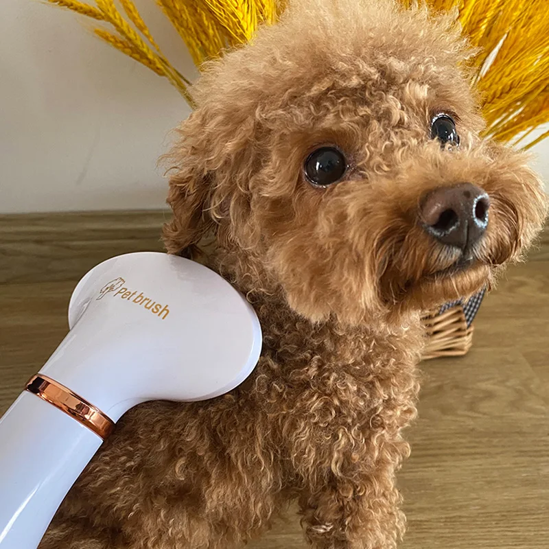 Pet Dog Hair Dryer 2-in-1 Cat Dog Dryer Grooming And Care Adjust Temperature Low Noise Pet Brush For Long and Short Dog Supplies