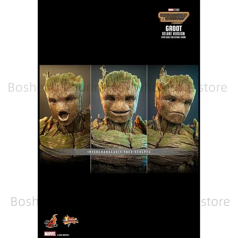 Hottoys MMS707 Guardians of the Galaxy Vol. 3 Groot 1/6 Deluxe Ver In Stock Anime Action Collection ألعاب مجسمة #6