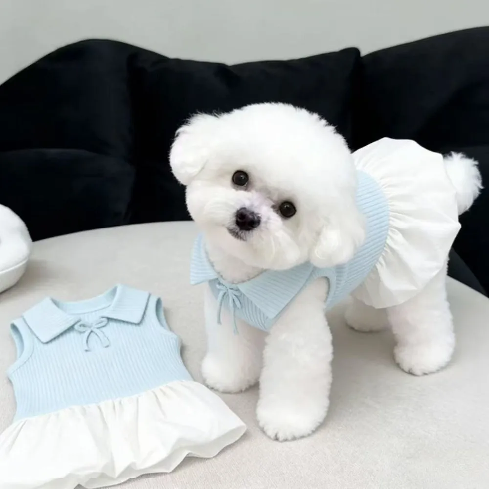 Neuer Pullover-Stil Hundestrickkleid Ärmellos Weiches Polyester Dünne Teddy-Röcke Atmungsaktive Sommer-Hundekleidung für Hund und Katze