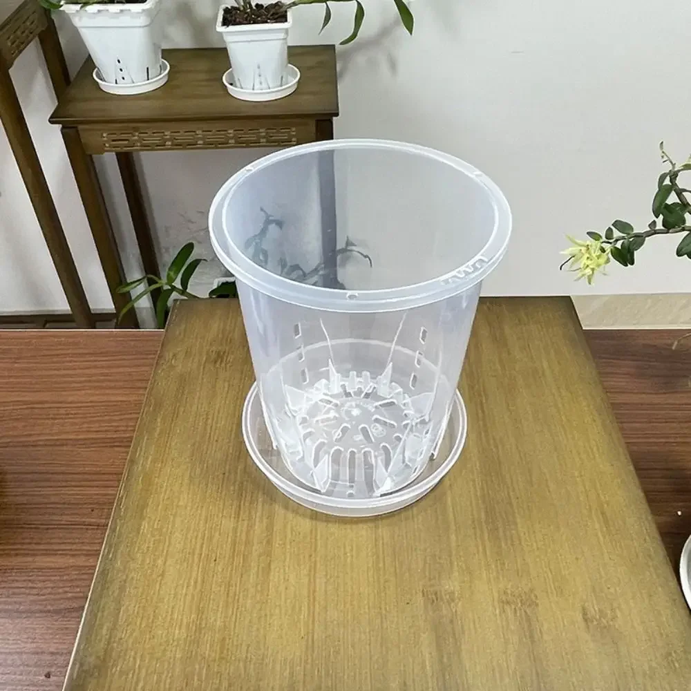 Breathable Root Control Transparent Flower Pot Plastic Beautiful Phalaenopsis Orchid Pots with Tray With Stomata Planting Pot