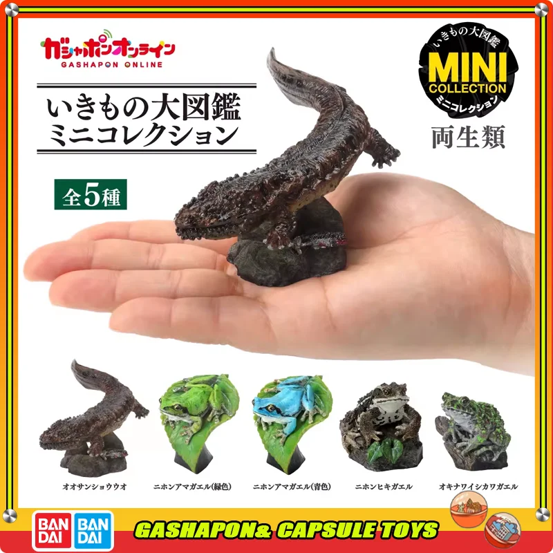 

BANDAI Biological Encyclopedia Amphibians Action Figures Model Tree Frog Baby Fish Toad Gashapon Simulation Toys Genuine