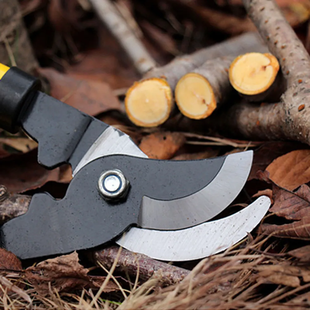 Premium Stainless Steel Pruning Shears for Gardeners – Sharp Grafting Scissors for Branch Trimming & Cutting