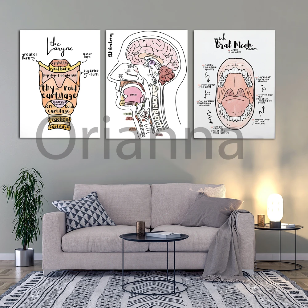 Anatomy Brain To Larynx Labeled Poster,Anatomy&Physiology Labeled Prints Anatomy And Place  Wall Art Canvas Painting Decoration