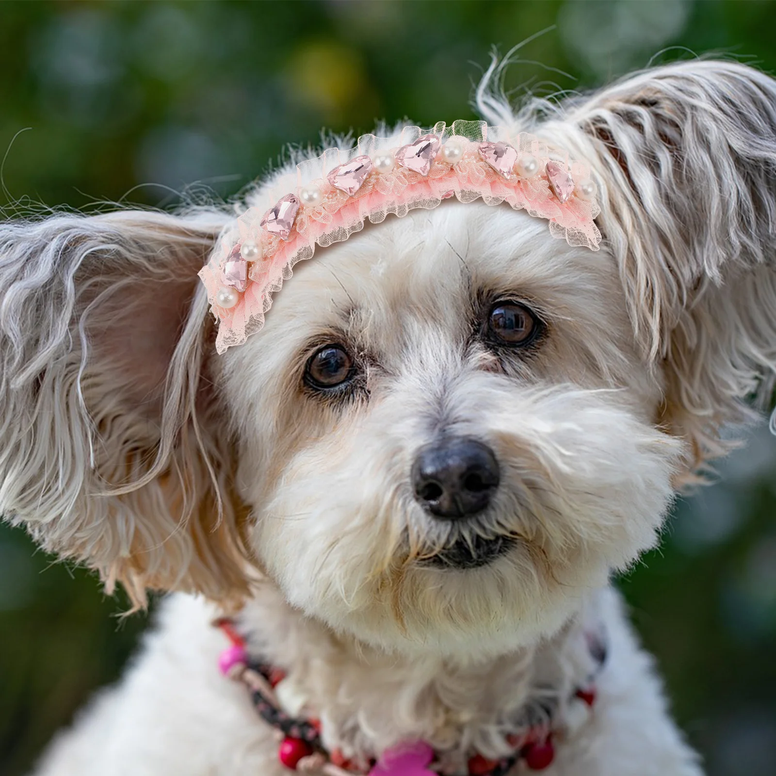 

Pet Heart Pearl Hair Clips Soft Lace Dog Hairpin For Small Dogs Crown Barrettes Grooming Accessories Dog Hair Clip Sets