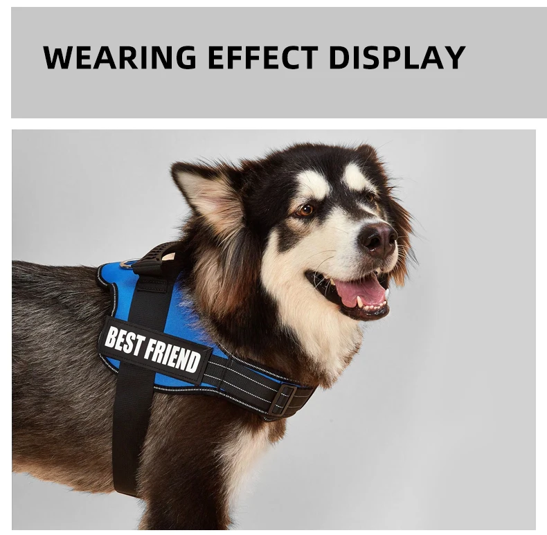 Hundegeschirr, anpassbar, personalisierte Aufnäher, Hundeweste, einfacher Kontrollgriff, verstellbare Rückseite, kleines, mittelgroßes und großes Hundehalsband – Detail 10